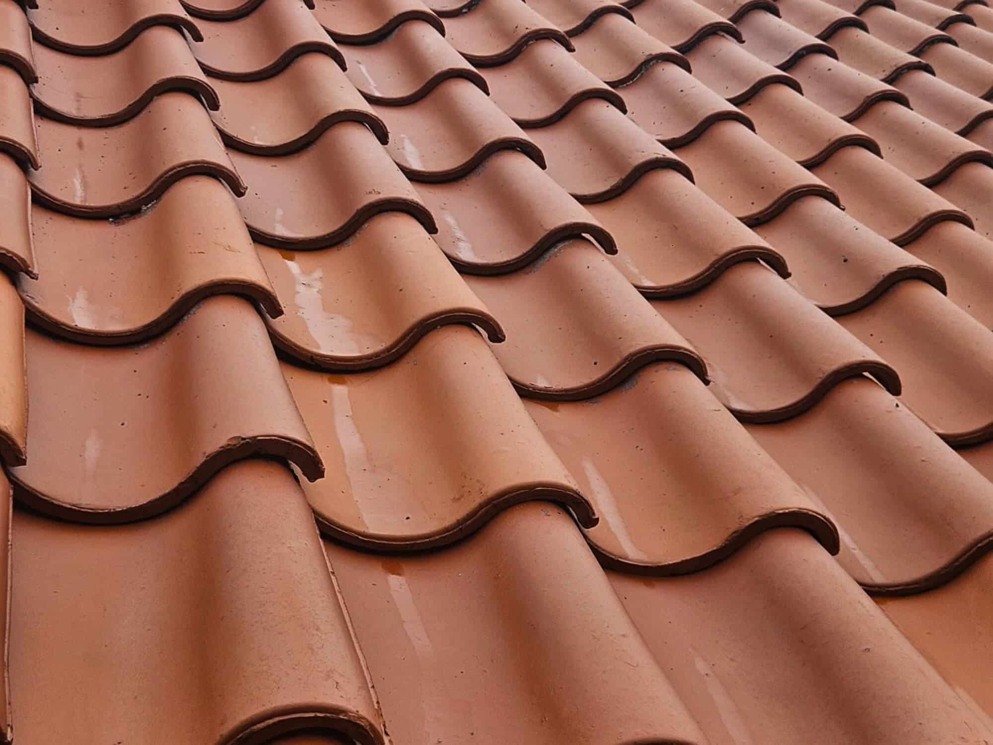 dakpannen die weer schoon zijn en gereinigd door CleaningBuddies