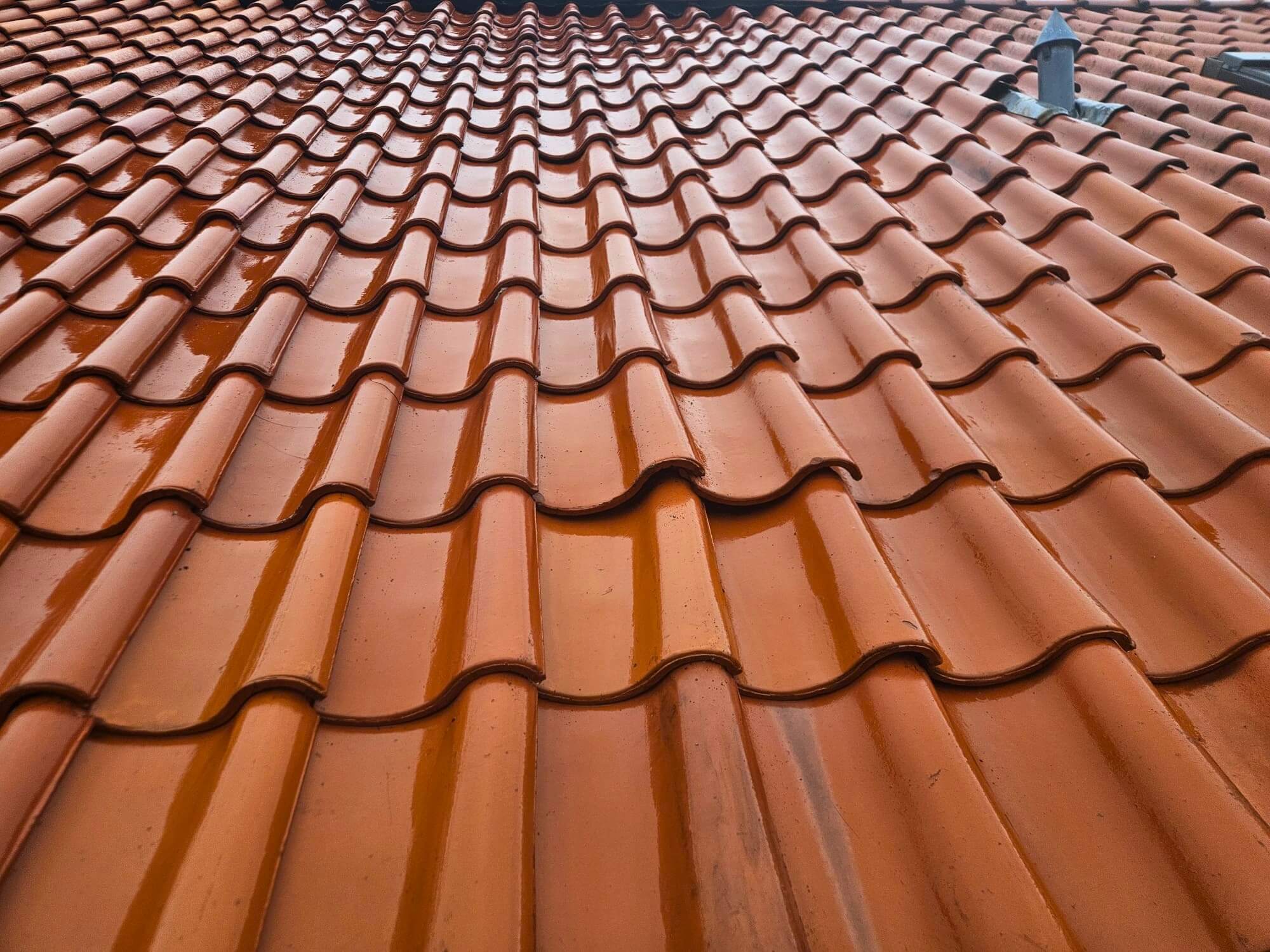 Schone dakpannen, gereinigd door CleaningBuddies